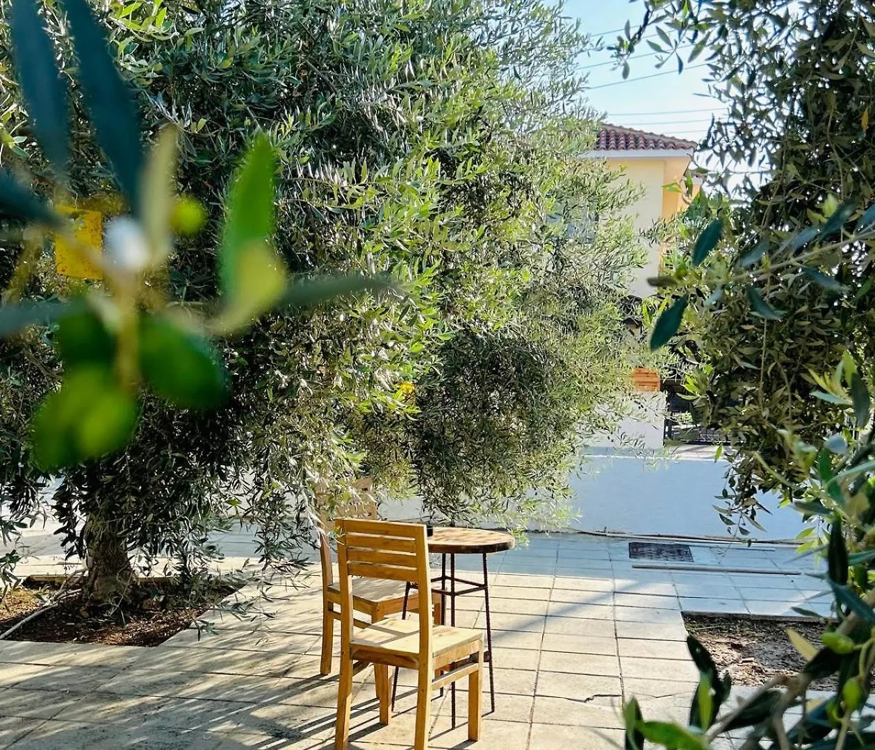 Teak Charm Apartment Larnaca Cyprus