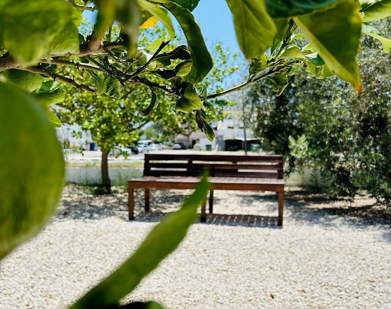 Teak Charm Apartment Larnaca